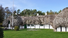 Tanghaus auf Læsø